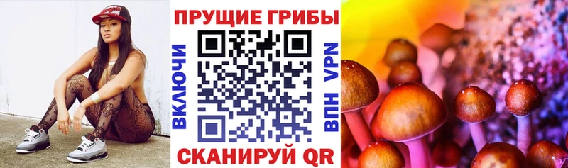 Псилоцибиновые грибы прущие грибы блэк спрут tor Яхрома